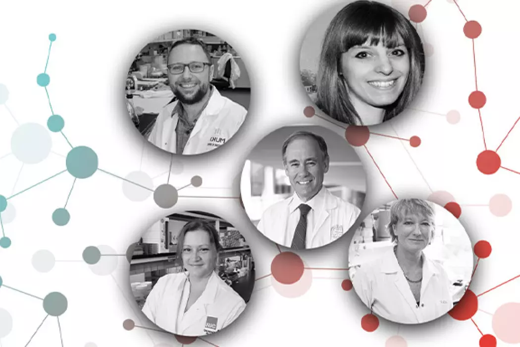 Concours <strong>100 ans de recherche</strong>
