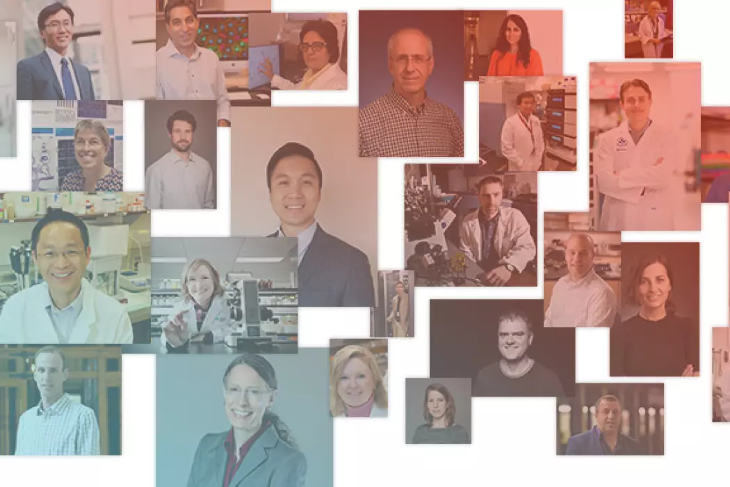 <strong>78 nouveaux projets</strong> de recherche prometteurs subventionnés