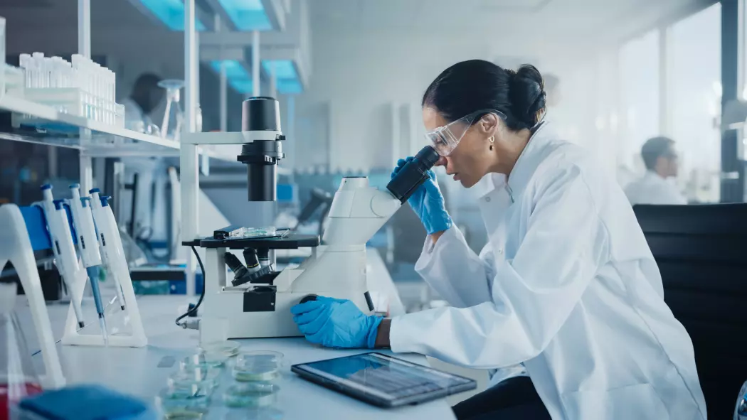 Nombre record de <strong>subventions pour la relève scientifique 2024</strong>